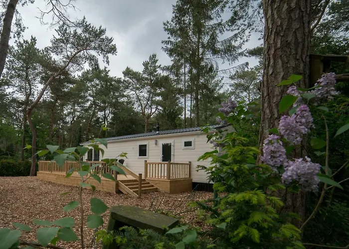 De Scheepsbel * Doornspijk